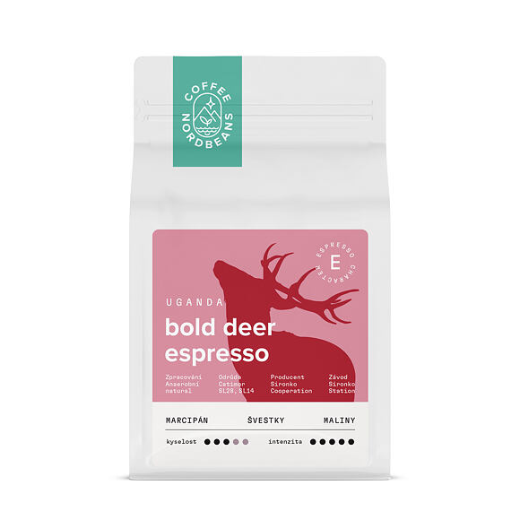 BOLD DEER